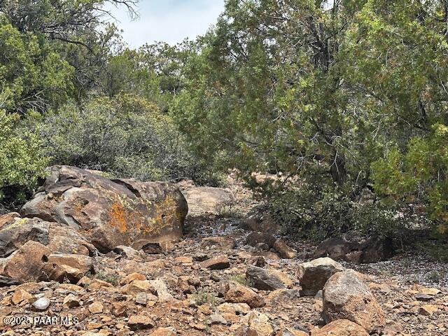 0 Shiloh Road Seligman, AZ 86337 - Photo 36 of 37 IMG_8840