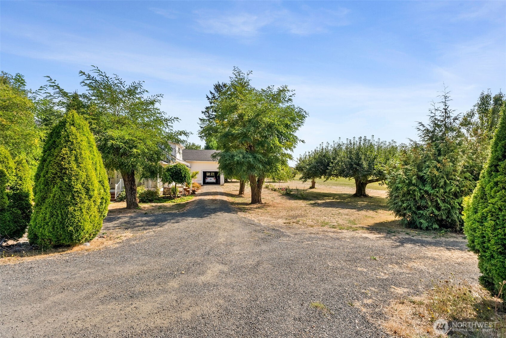 379 Twin Oaks Road Chehalis, WA 98532 - Photo 19 of 30 a row of palm trees in front of a house
