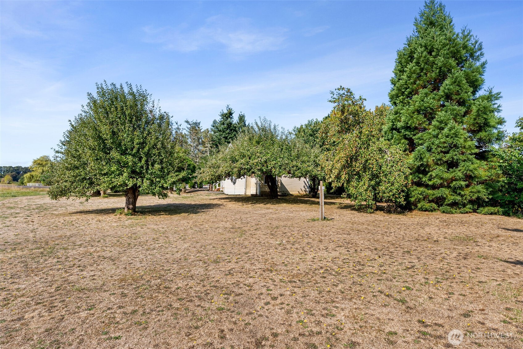 379 Twin Oaks Road Chehalis, WA 98532 - Photo 28 of 30 a backyard of a house with lots of trees