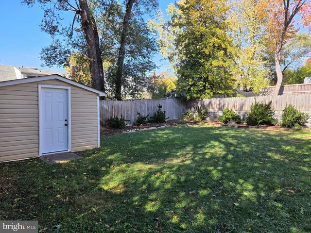 a view of backyard with potted plants and large tree