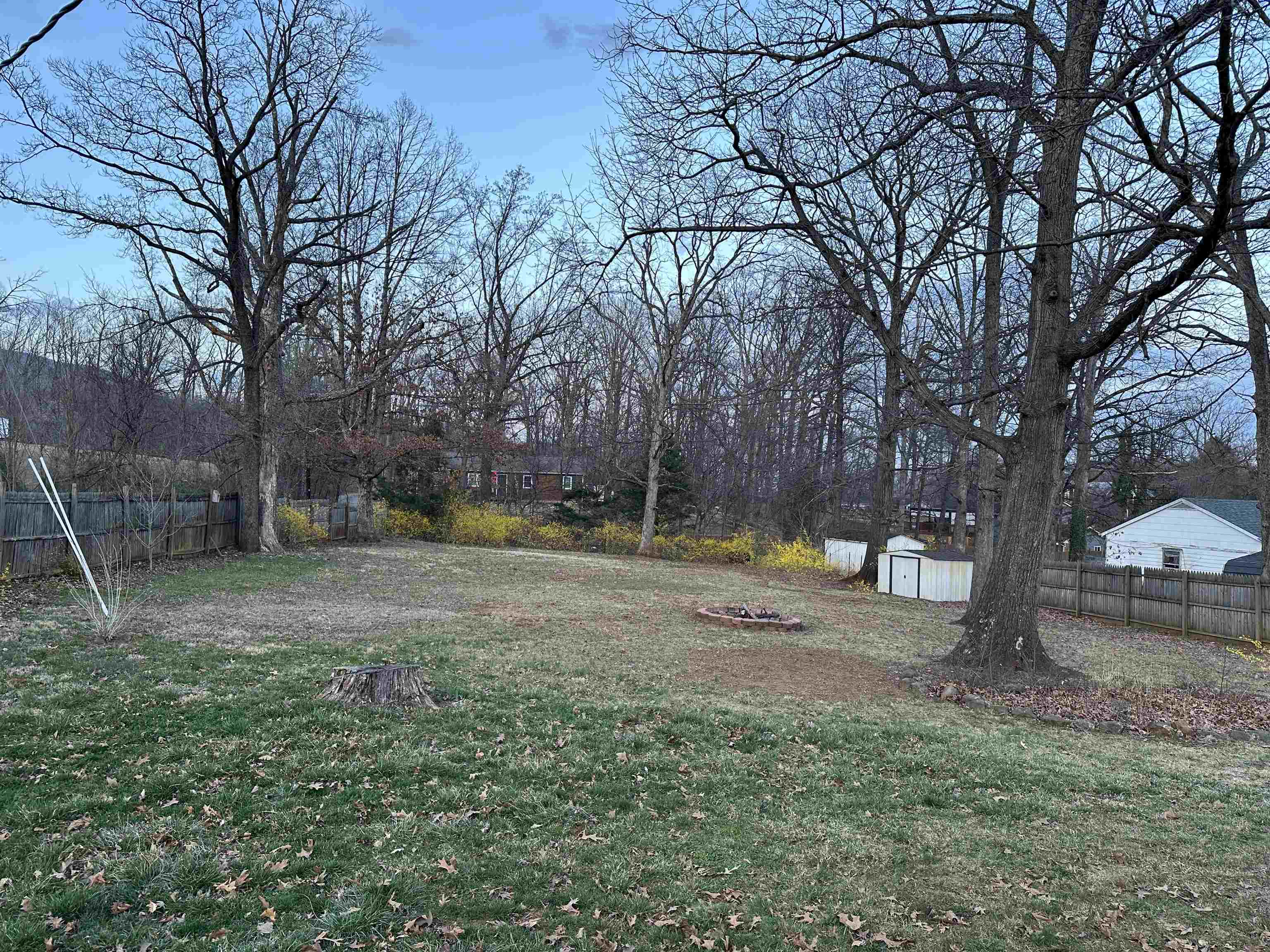 815 Beagle Gap Road Crozet, VA 22932 - Photo 7 of 18 a view of a yard with a tree