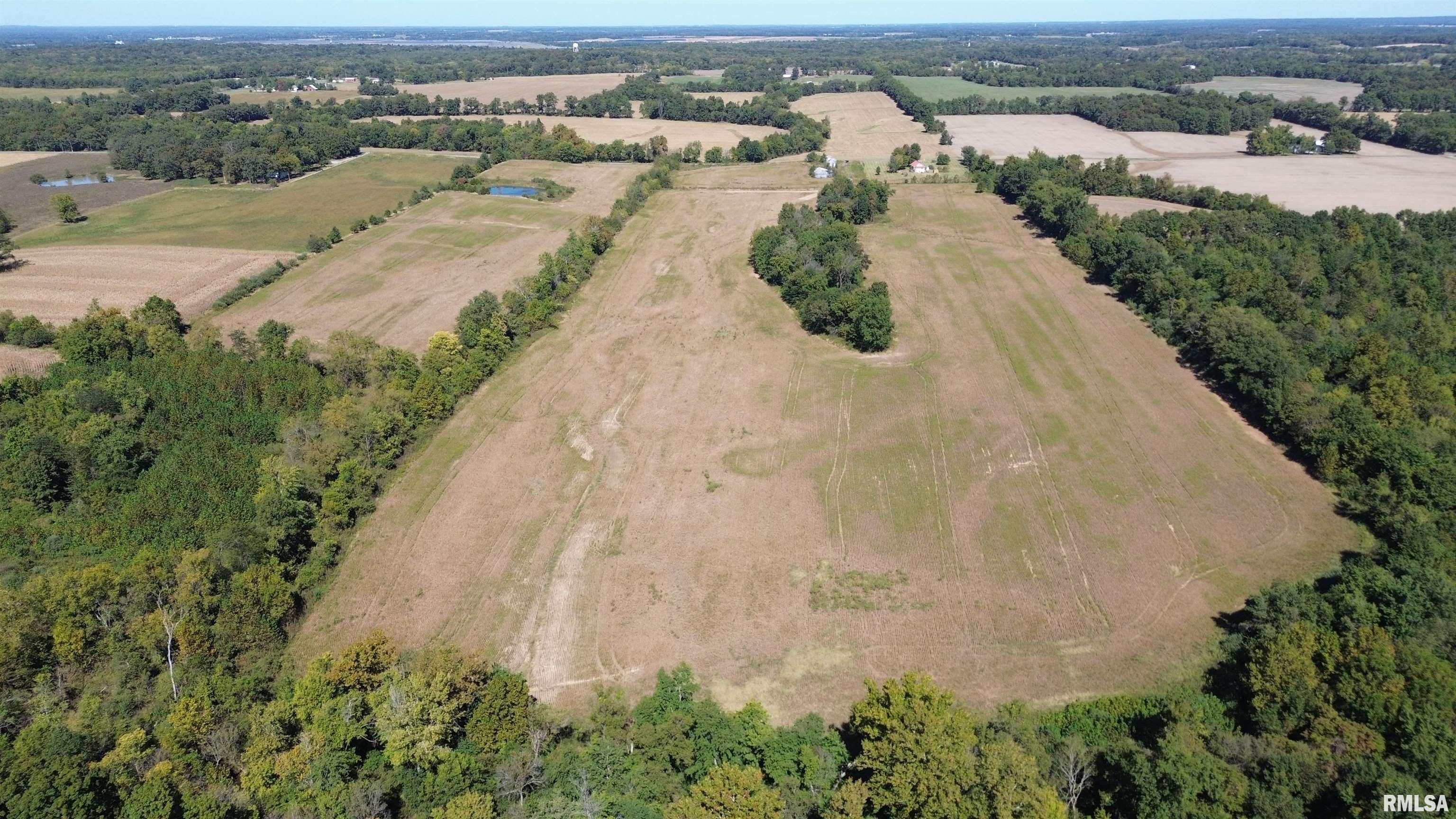 0 Streetcar Road Pittsburg, IL 62974 - Photo 5 of 6 Gallery Image 5