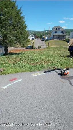 a view of a garden with an outdoor space
