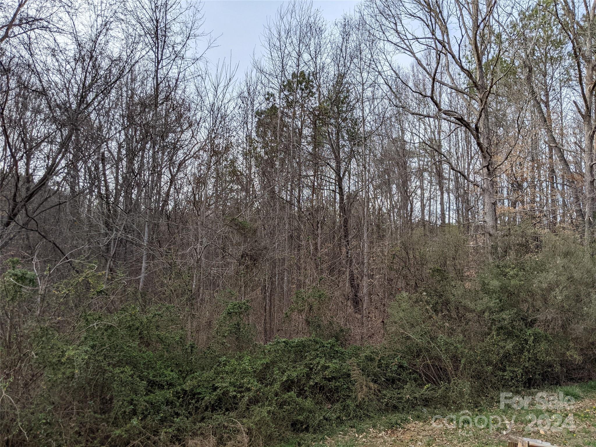 5059 Cabal Road Sharon, SC 29742 - Photo 34 of 36 a view of forest