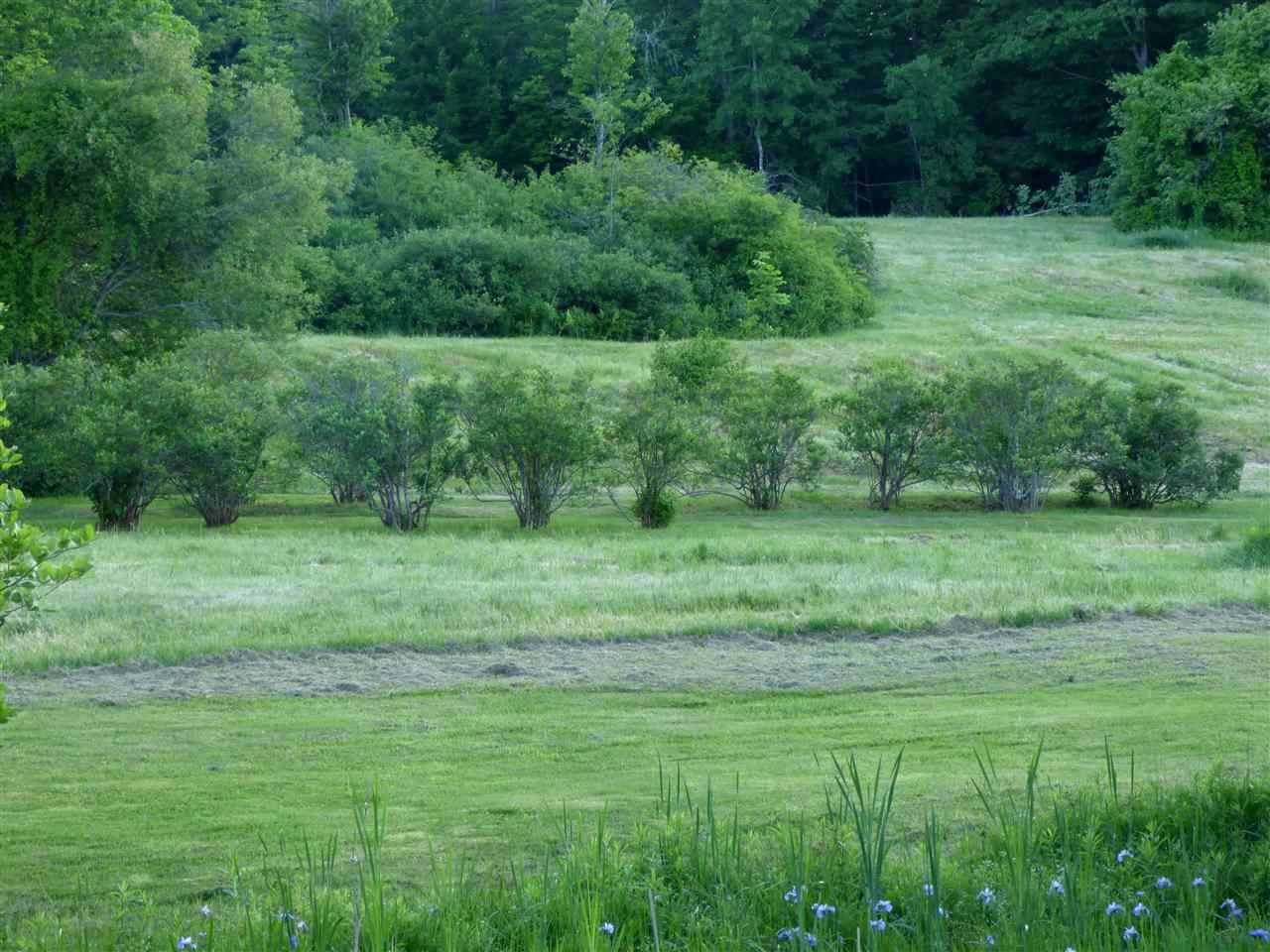 39 Nedeau Road Meredith, NH 03253 - Photo 11 of 40
