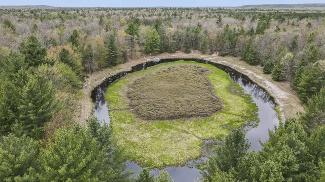 $479,900 | 250 North Warfield Road, Wellston, MI 49689