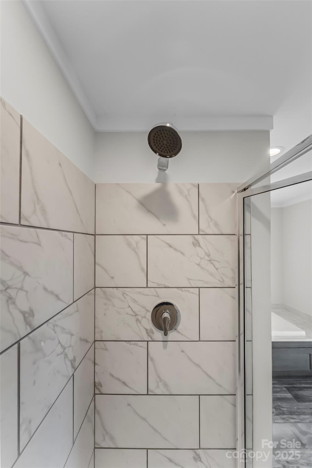 209 Walnut Br Road Weaverville, NC 28787 - Photo 25 of 43 a bathroom with a shower