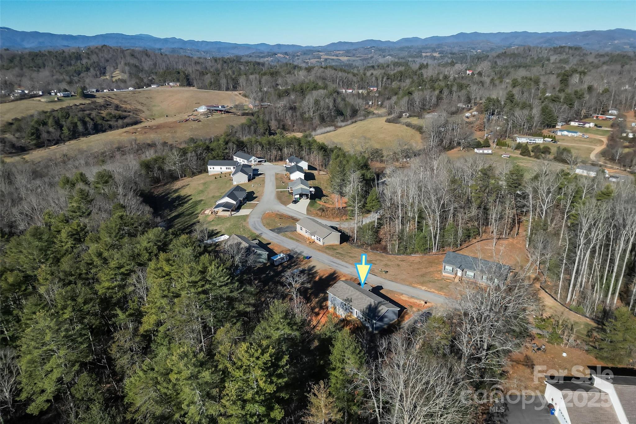 209 Walnut Br Road Weaverville, NC 28787 - Photo 36 of 43 a view of a forest with a street
