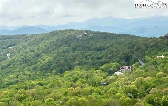 a view of a field of grass and trees