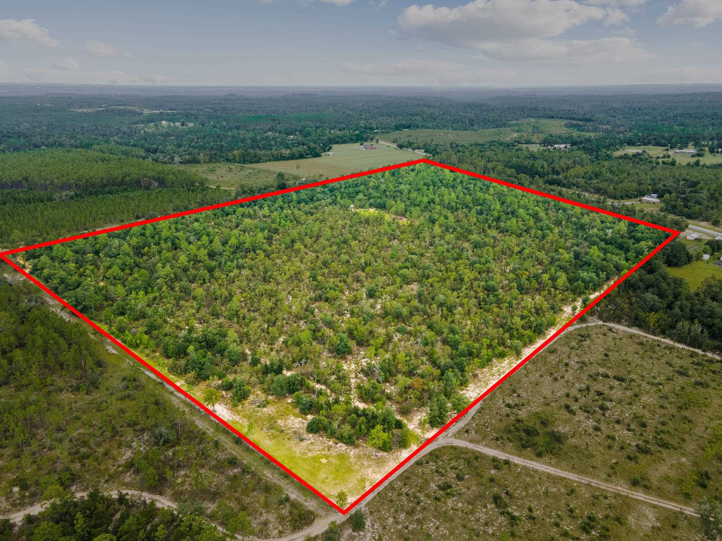 Tbd Northwest Boykin Road Bristol, FL 32321 - Photo 6 of 12 Gallery Image 6