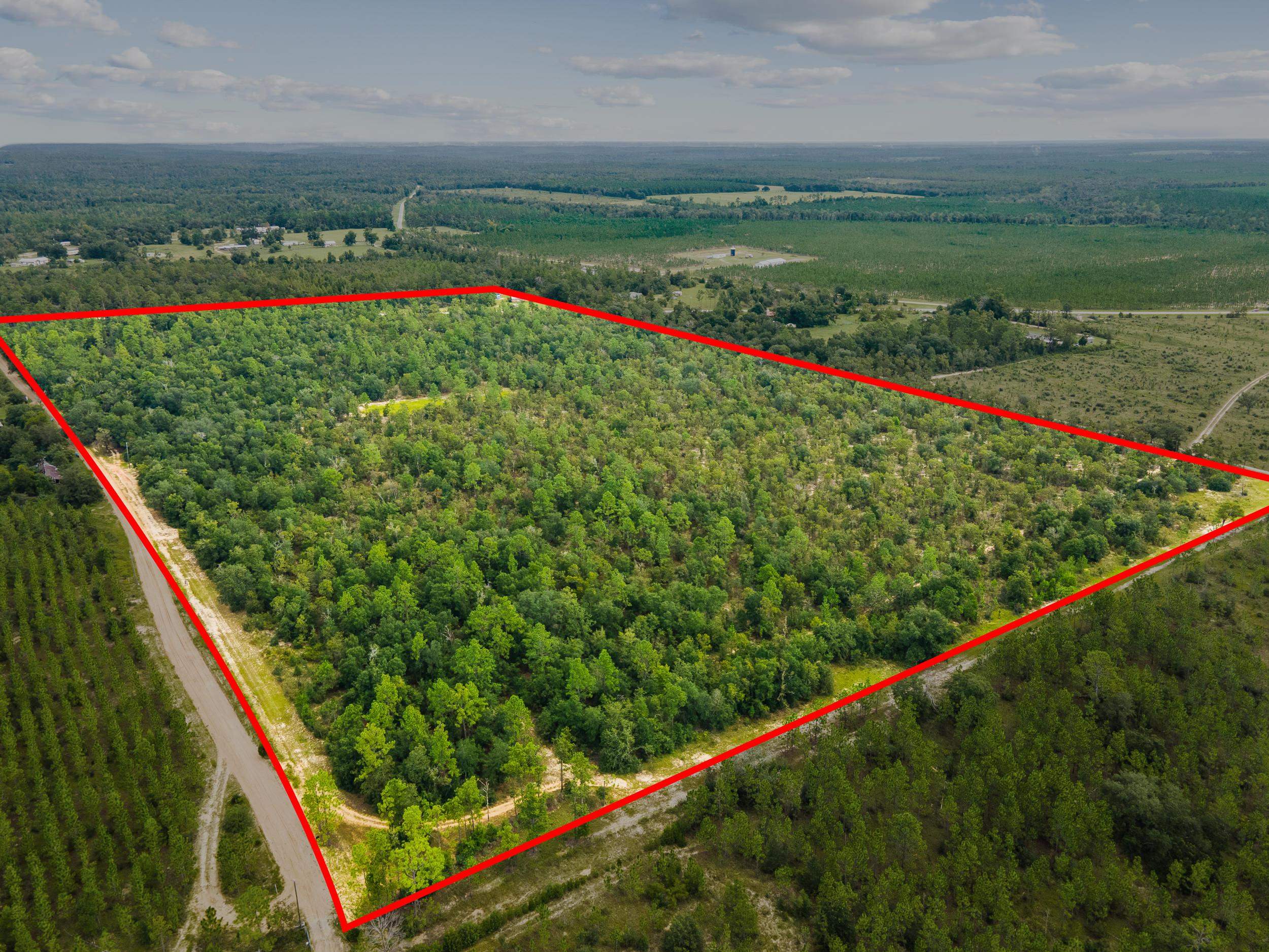 Tbd Northwest Boykin Road Bristol, FL 32321 - Photo 8 of 12 Gallery Image 8