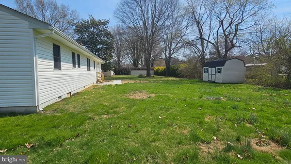 a view of a backyard with plants and large tree