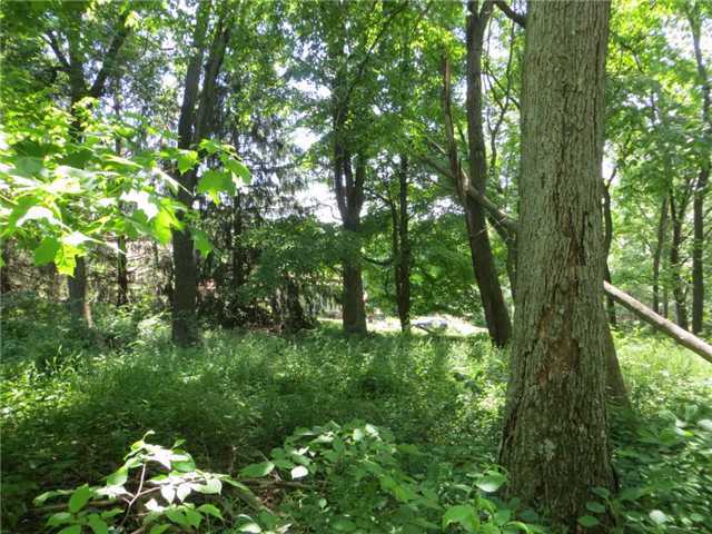 10560 Sapp Road Gambier, OH 43022 - Photo 10 of 10