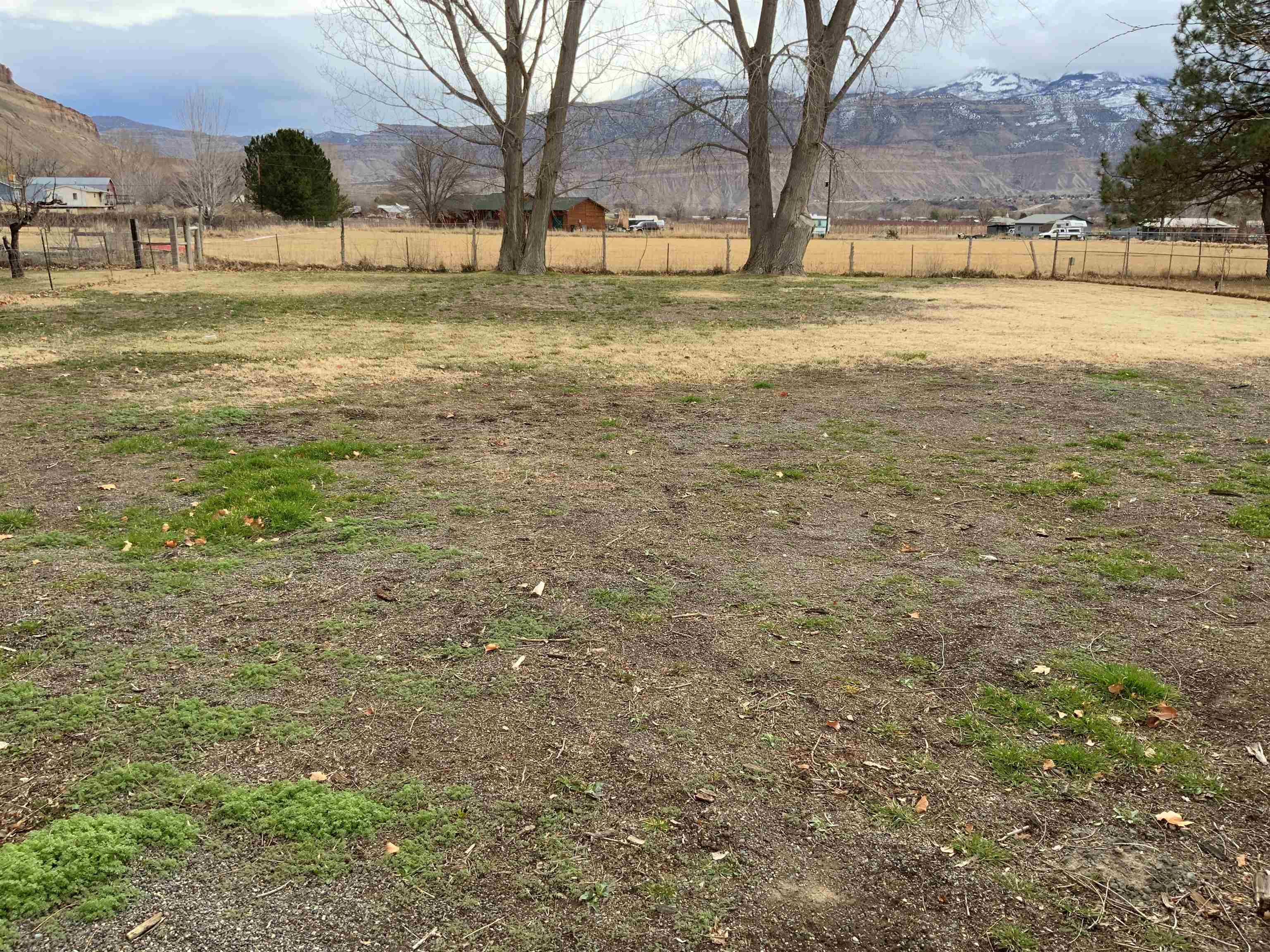 734-36 36 3/10 Road Palisade, CO 81526 - Photo 38 of 39 a view of yard with swimming pool