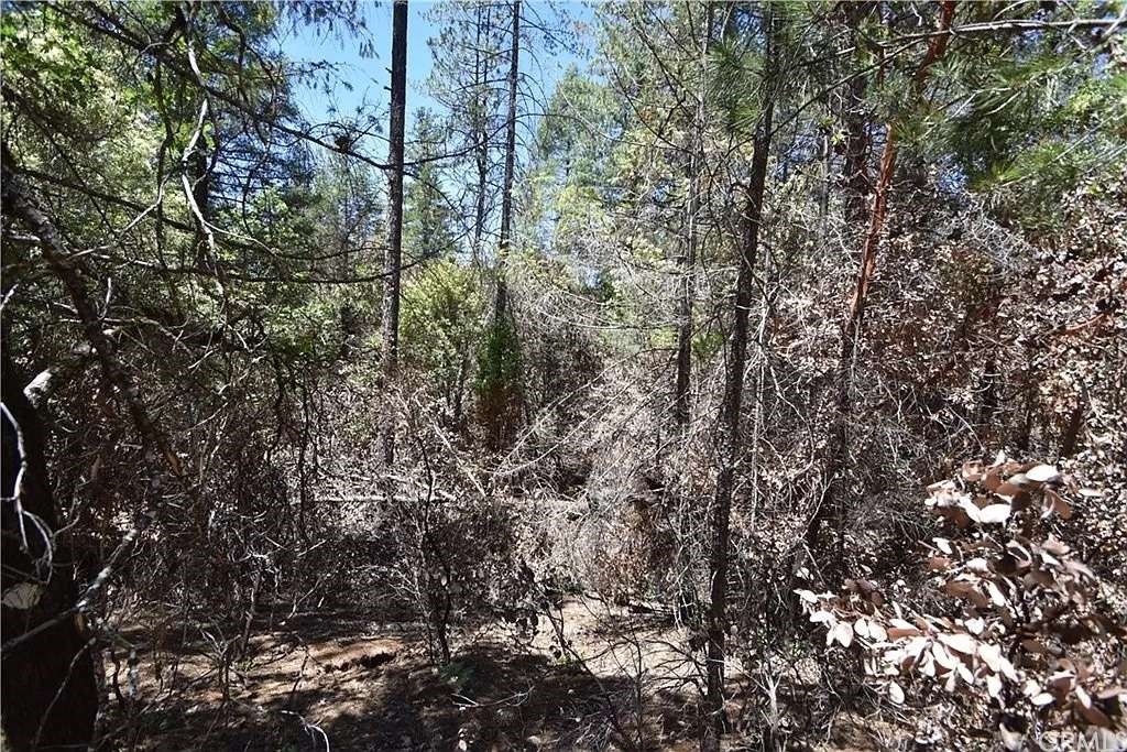 0 Galen Ridge Road Berry Creek, CA 95916 - Photo 1 of 1 a view of a forest with a tree