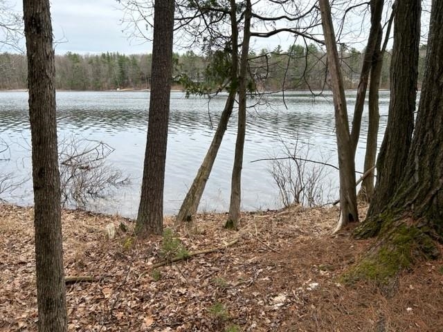 Reynolds Road, Unit LOT: B Lake Ann, MI 49650 - Photo 6 of 21
