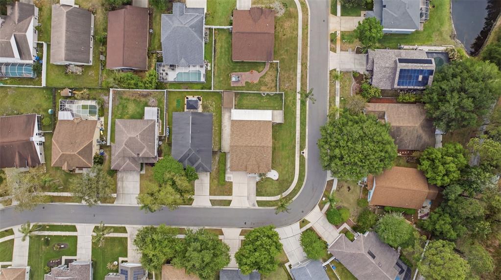 4852 Ridgemoor Circle Palm Harbor, FL 34685 - Photo 48 of 50