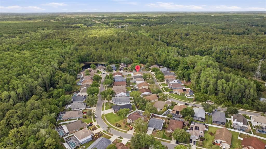 4852 Ridgemoor Circle Palm Harbor, FL 34685 - Photo 49 of 50