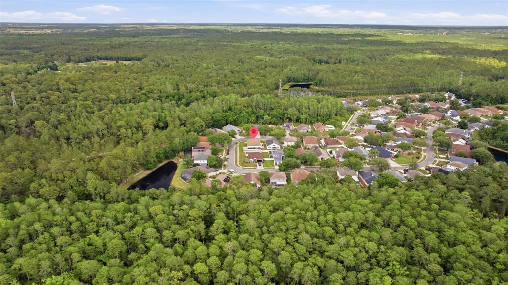 4852 Ridgemoor Circle Palm Harbor, FL 34685 - Photo 50 of 50