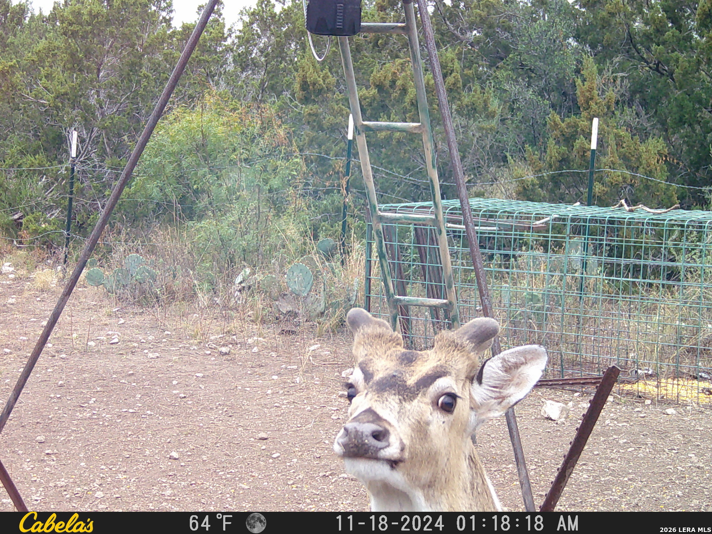21 North High Lonesome Road Comstock, TX 78837 - Photo 14 of 20