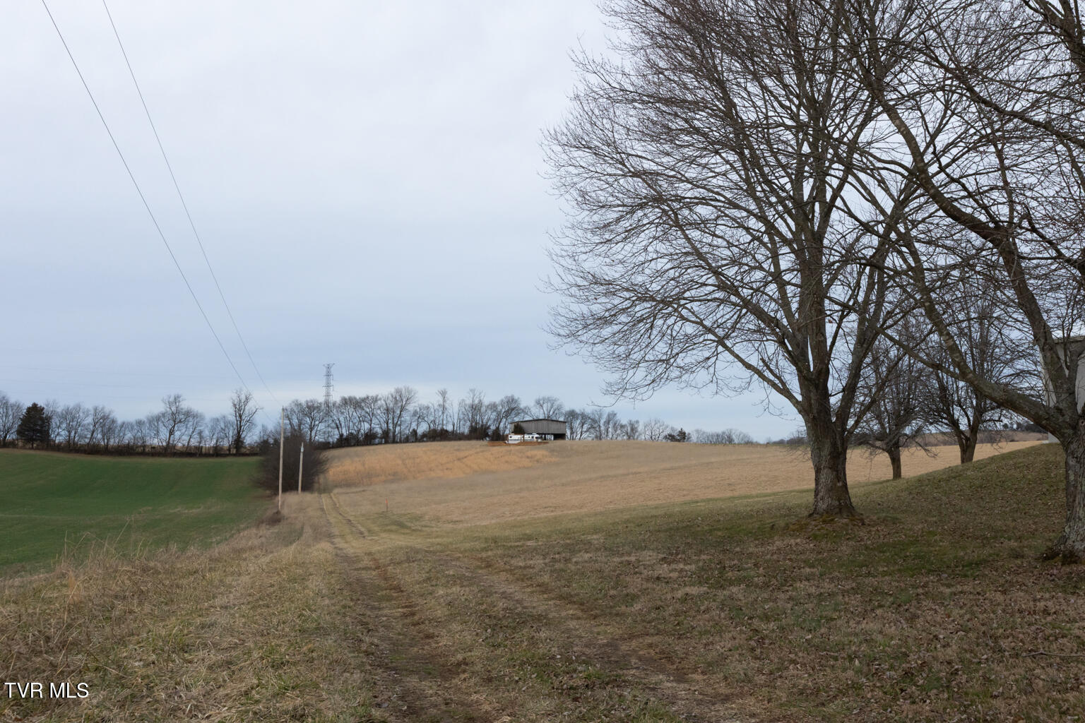 130 Berryhill Road Limestone, TN 37681 - Photo 37 of 78 0U9A5998