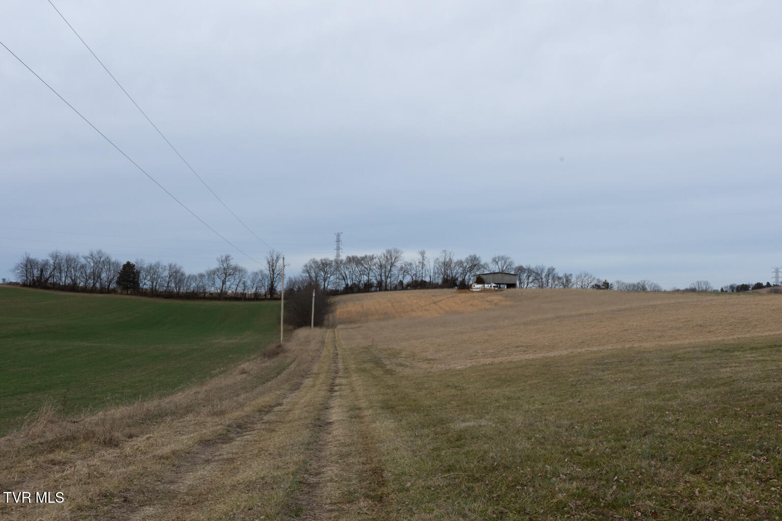 130 Berryhill Road Limestone, TN 37681 - Photo 47 of 78 0U9A6006