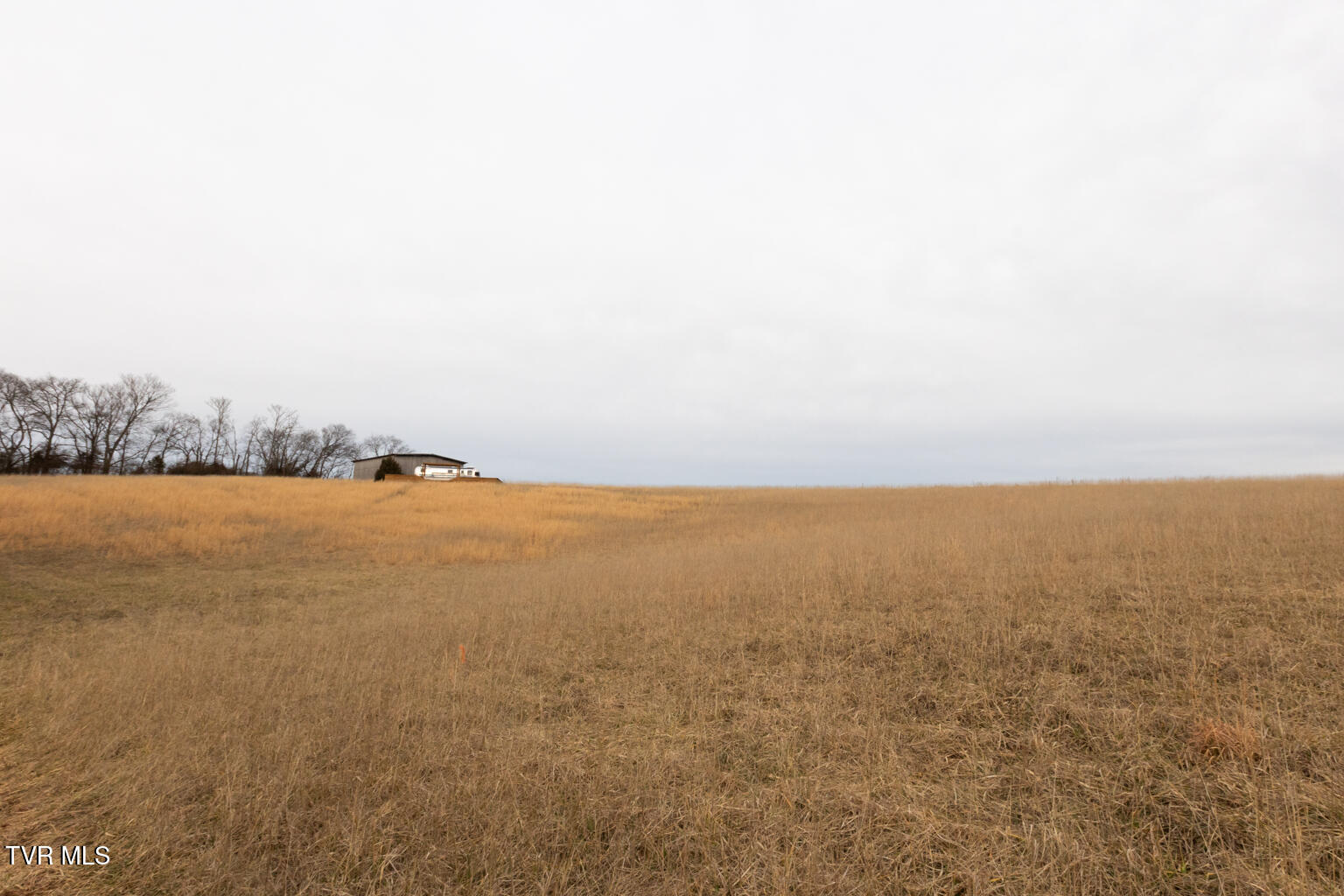 130 Berryhill Road Limestone, TN 37681 - Photo 58 of 78 0U9A6059