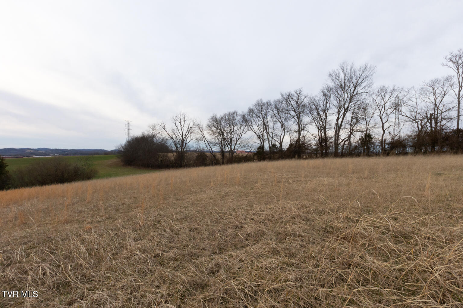 130 Berryhill Road Limestone, TN 37681 - Photo 72 of 78 0U9A6170