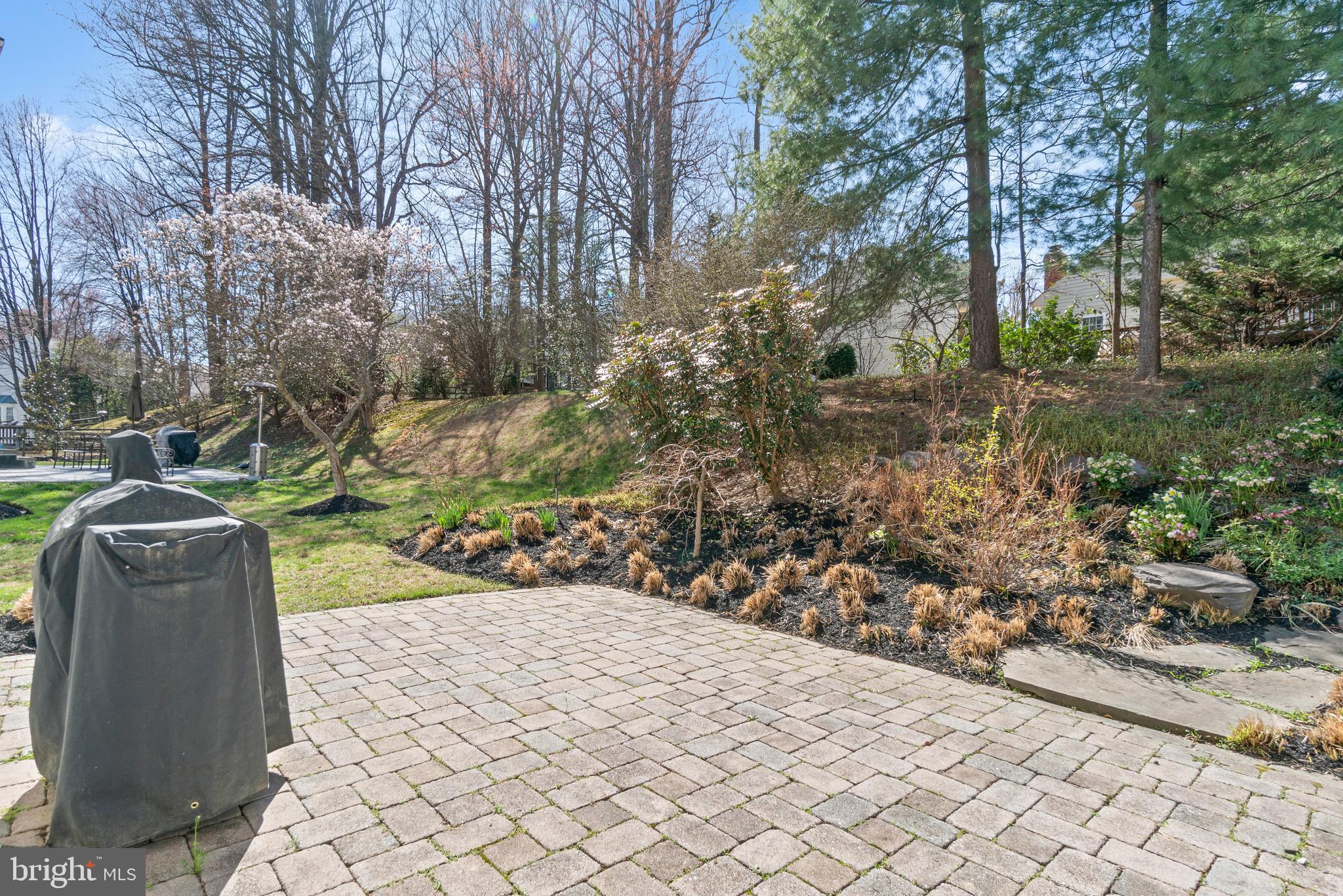 2803 Shadowridge Drive Olney, MD 20832 - Photo 44 of 55 a view of a pathway both side of yard