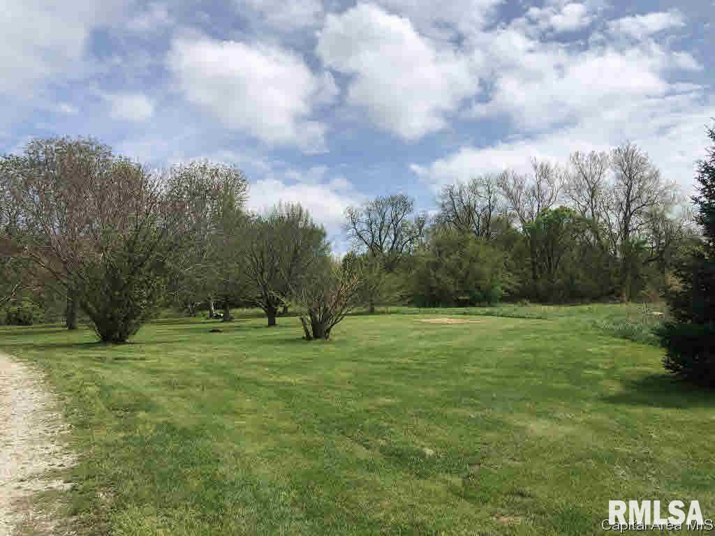 21992 Chandlerville Road Virginia, IL 62691 - Photo 3 of 24