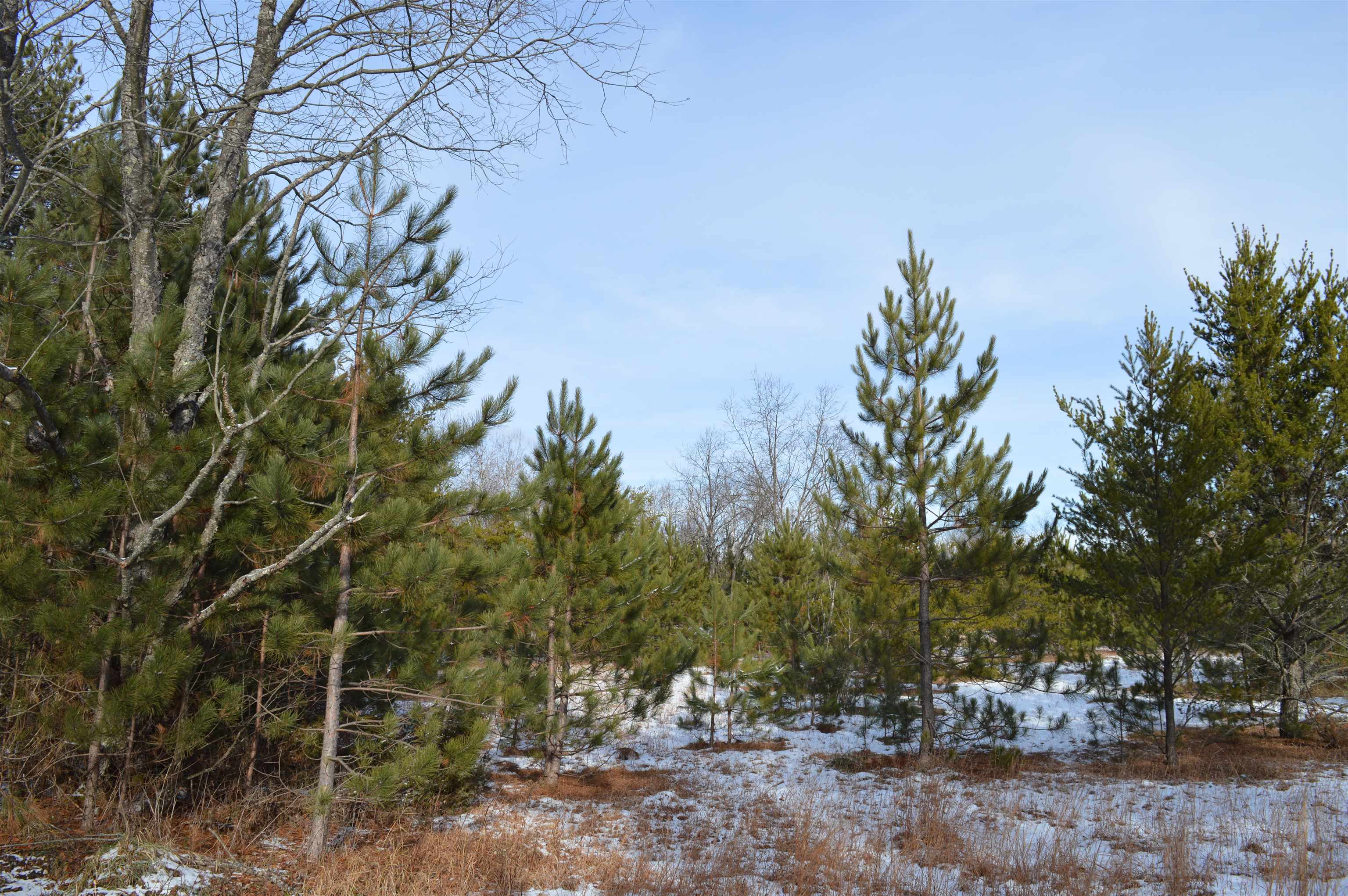 Off Wood Road Northeast Kalkaska, MI 49646 - Photo 1 of 22