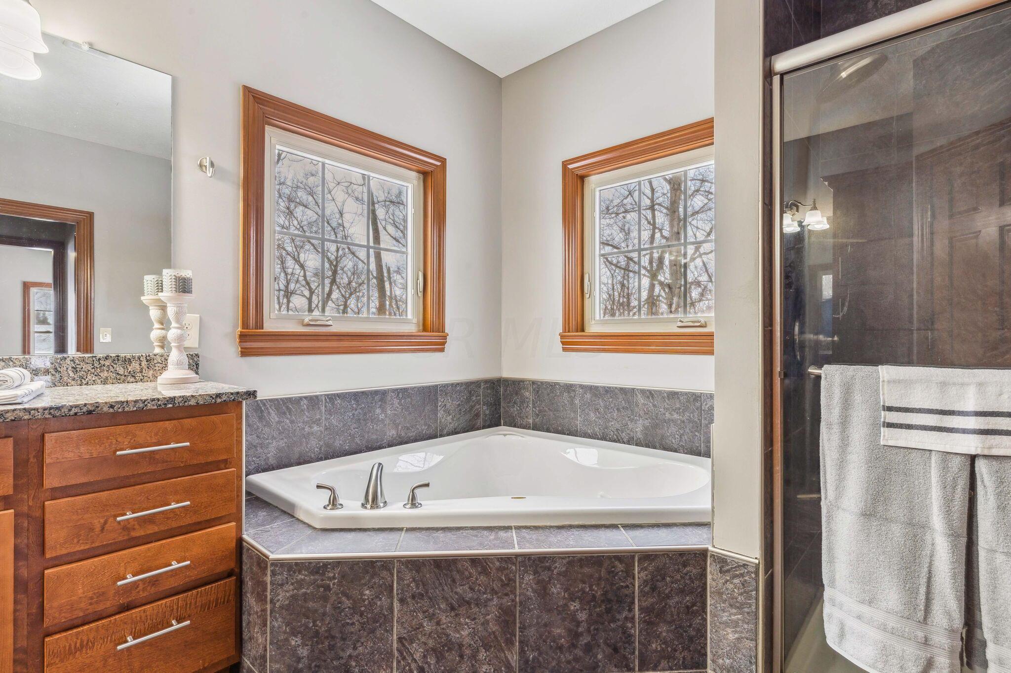 16159 Robinson Road Plain City, OH 43064 - Photo 38 of 87 Master bath 2