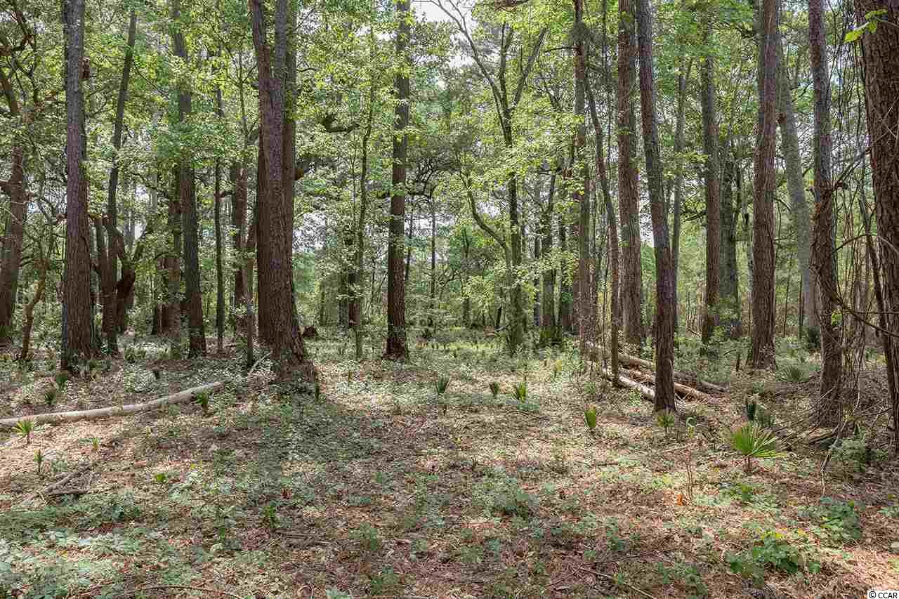Lot 32 Old Carriage Loop Georgetown, SC 29440 - Photo 1 of 5 Gallery Image 1