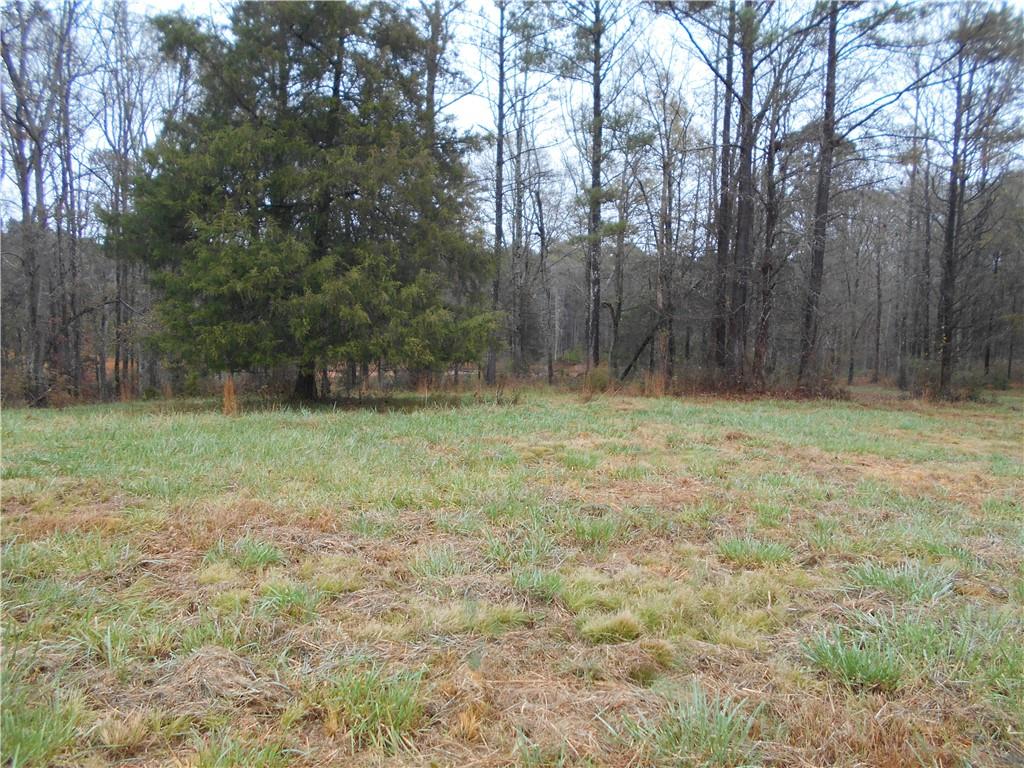 14-ac Youth Jersey Road Covington, GA 30014 - Photo 11 of 42 a view of outdoor space with deck and yard