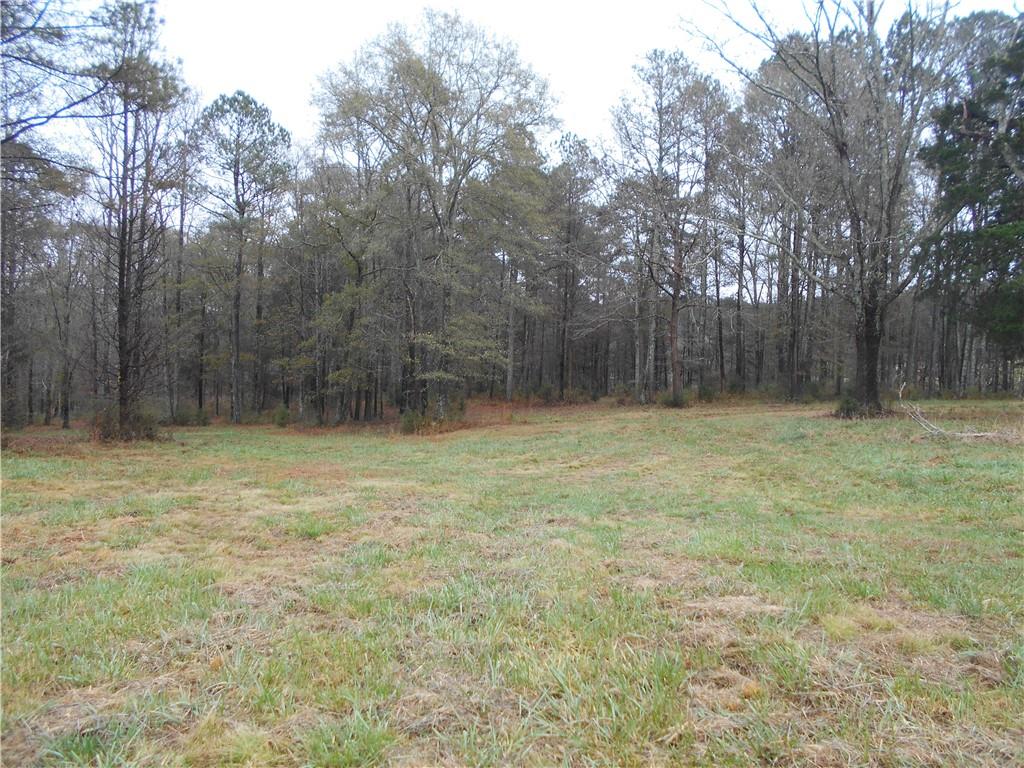 14-ac Youth Jersey Road Covington, GA 30014 - Photo 13 of 42 a view of a yard