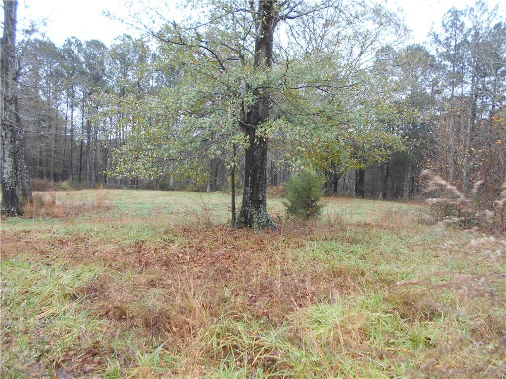 14-ac Youth Jersey Road Covington, GA 30014 - Photo 16 of 42 a view of outdoor space with trees