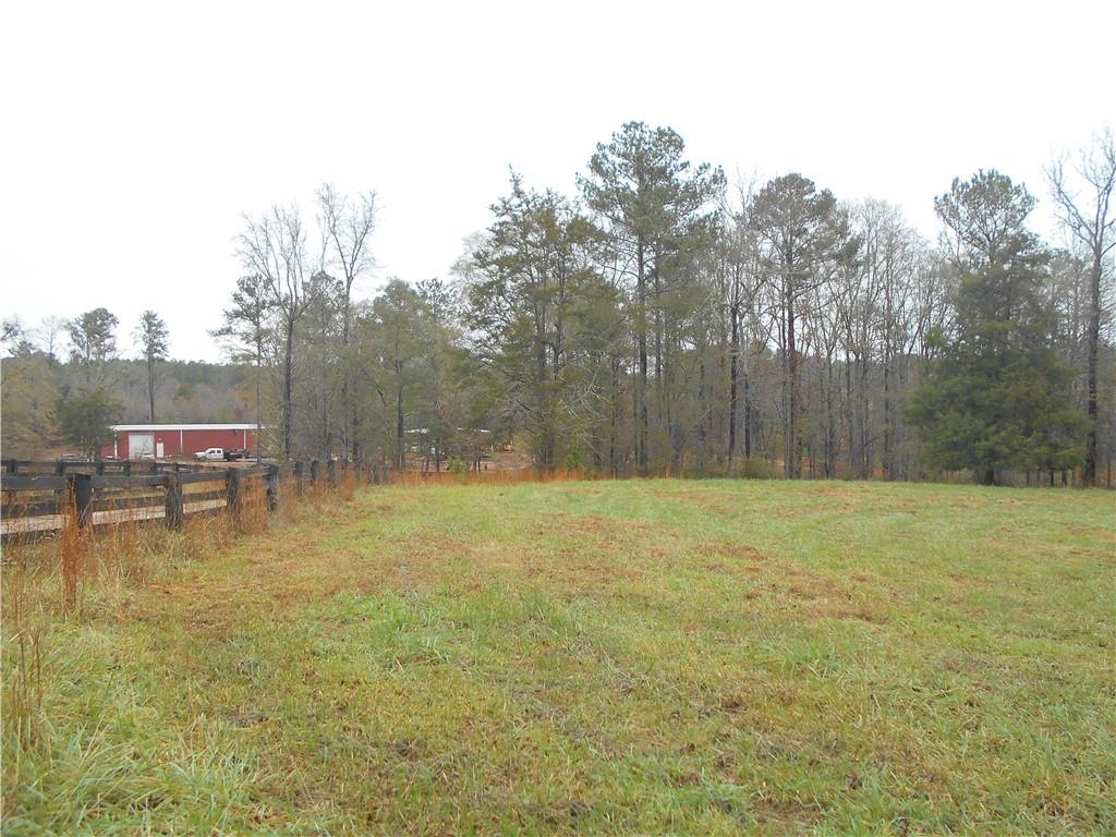 14-ac Youth Jersey Road Covington, GA 30014 - Photo 18 of 42 a swimming pool with some trees in the background