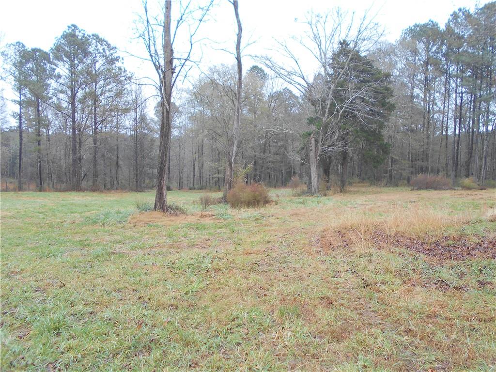 14-ac Youth Jersey Road Covington, GA 30014 - Photo 19 of 42 a fire hydrant in the middle of a field