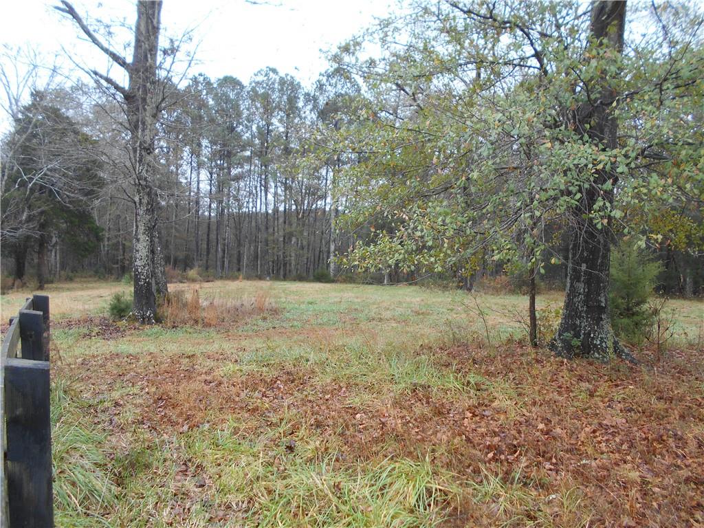 14-ac Youth Jersey Road Covington, GA 30014 - Photo 20 of 42 a view of a backyard with trees