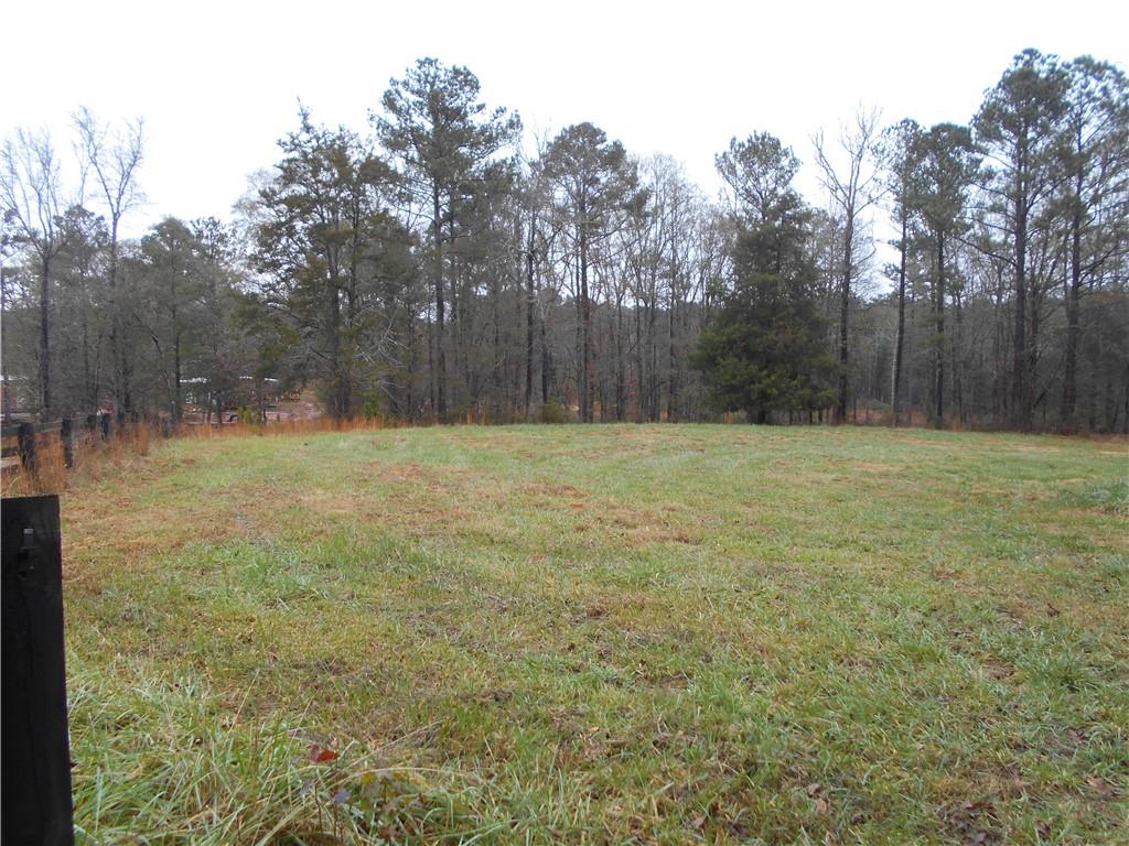 14-ac Youth Jersey Road Covington, GA 30014 - Photo 23 of 42 a view of a yard with a tree