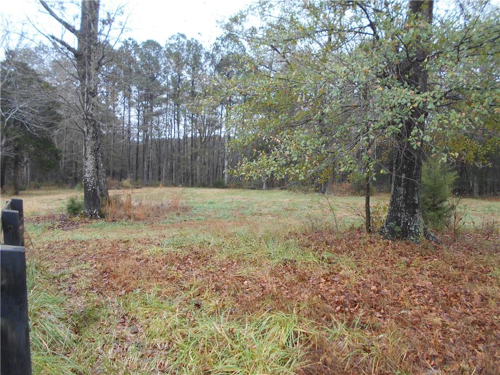 14-ac Youth Jersey Road Covington, GA 30014 - Photo 24 of 42 a view of a yard with a tree