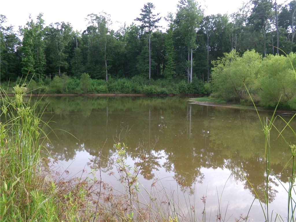 14-ac Youth Jersey Road Covington, GA 30014 - Photo 25 of 42 a view of a lake in between two trees