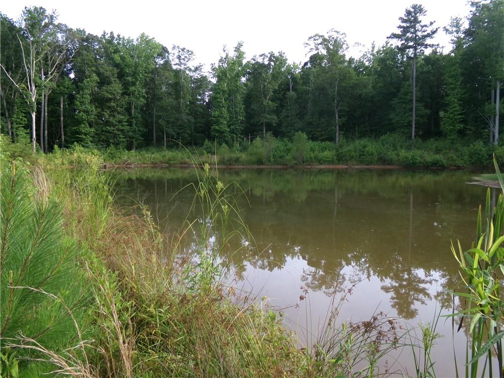 14-ac Youth Jersey Road Covington, GA 30014 - Photo 28 of 42 a view of a lake with a forest