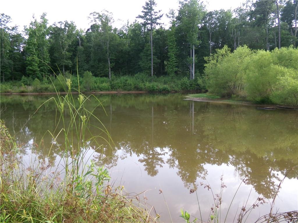 14-ac Youth Jersey Road Covington, GA 30014 - Photo 29 of 42 a view of a lake in middle of forest