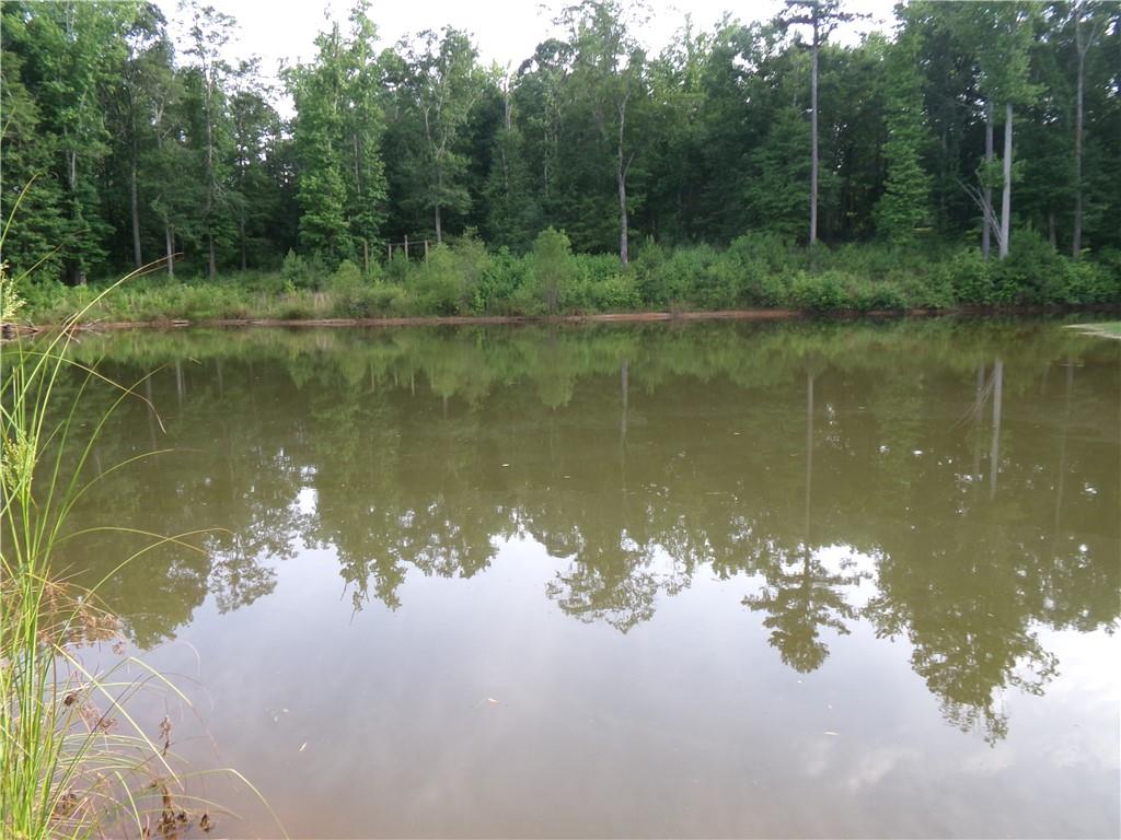 14-ac Youth Jersey Road Covington, GA 30014 - Photo 30 of 42 a lake view with a lake view