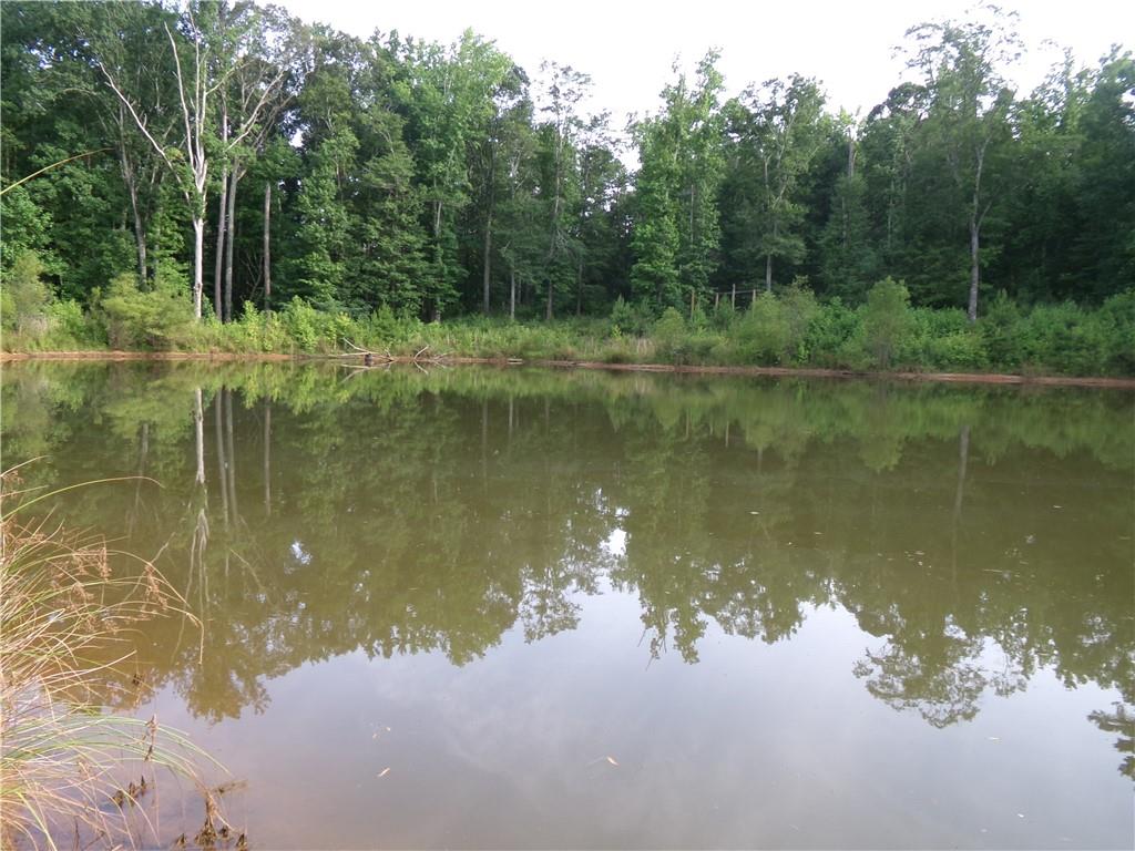 14-ac Youth Jersey Road Covington, GA 30014 - Photo 31 of 42 a view of a lake view with a lake view
