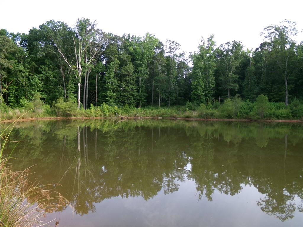 14-ac Youth Jersey Road Covington, GA 30014 - Photo 32 of 42 a view of a lake view with a large tree