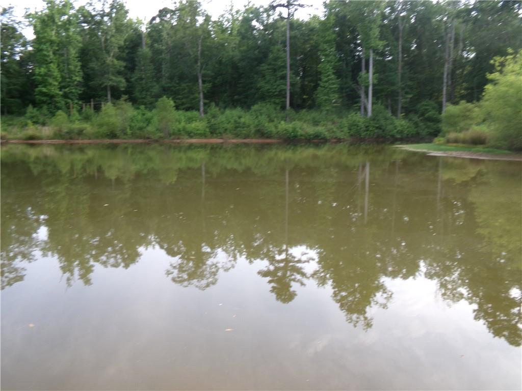 14-ac Youth Jersey Road Covington, GA 30014 - Photo 33 of 42 a view of lake