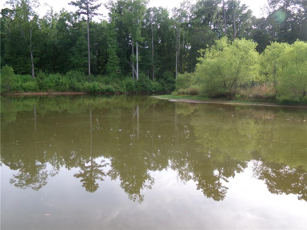 14-ac Youth Jersey Road Covington, GA 30014 - Photo 34 of 42 a view of a lake in middle of forest