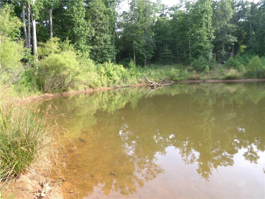 14-ac Youth Jersey Road Covington, GA 30014 - Photo 35 of 42 a view of a lake from a yard